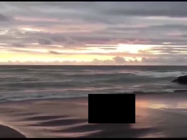 Content Image