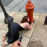 Content Image