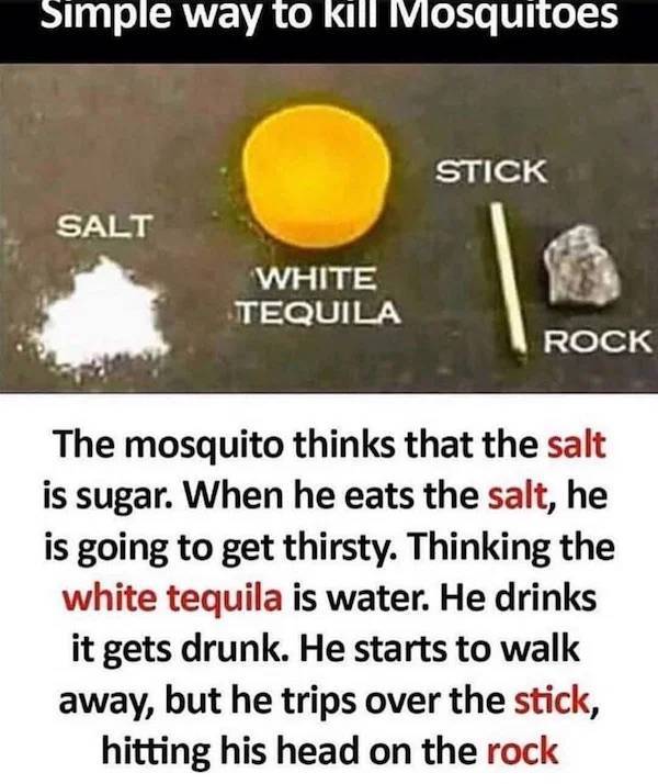 Need Some Salt With These Tequila Memes?
