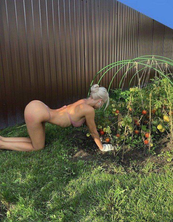 Content Image