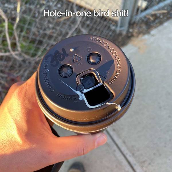 The Definition Of A Bad Day