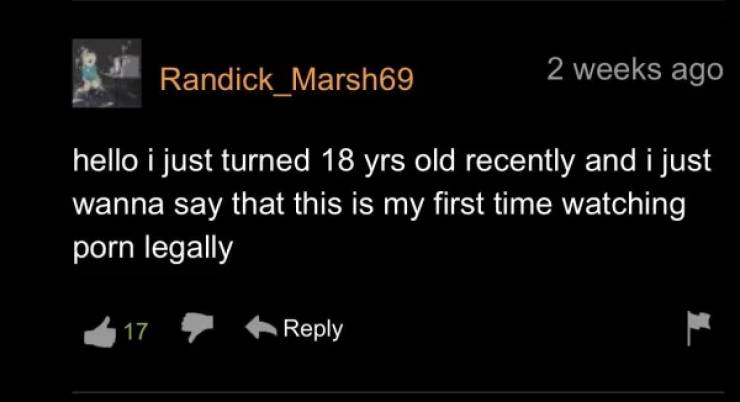 Pornhub’s Comment Section Is Wild…