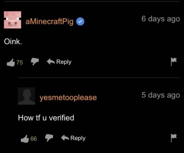 Pornhub’s Comment Section Is Wild…