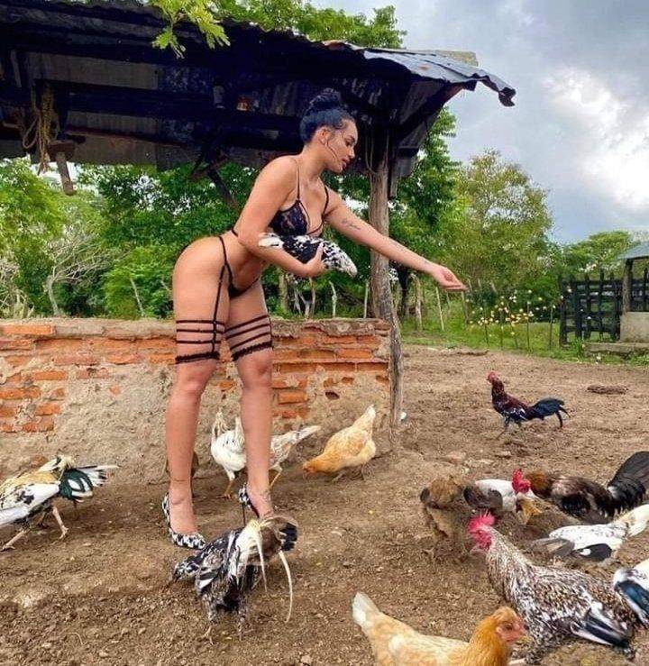 Content Image