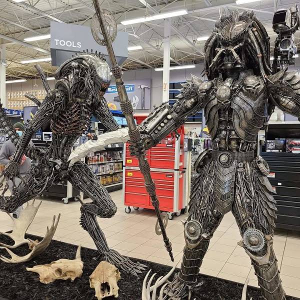 Now That’s Really Cool!