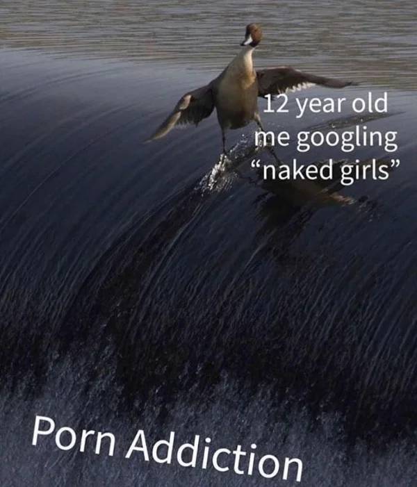 More NSFW Memes! More!