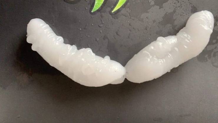 Internet Knows What That Is