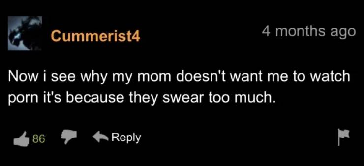 “Pornhub” Comment Section Is Something Special…