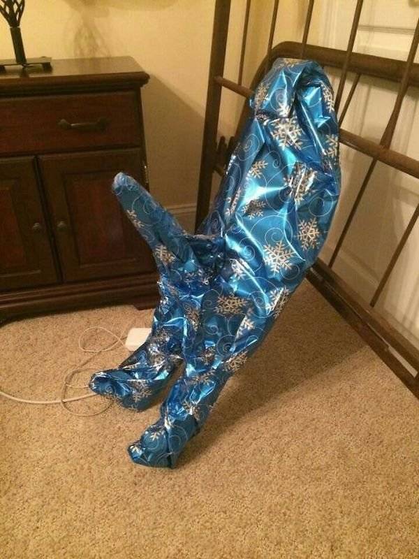 Content Image