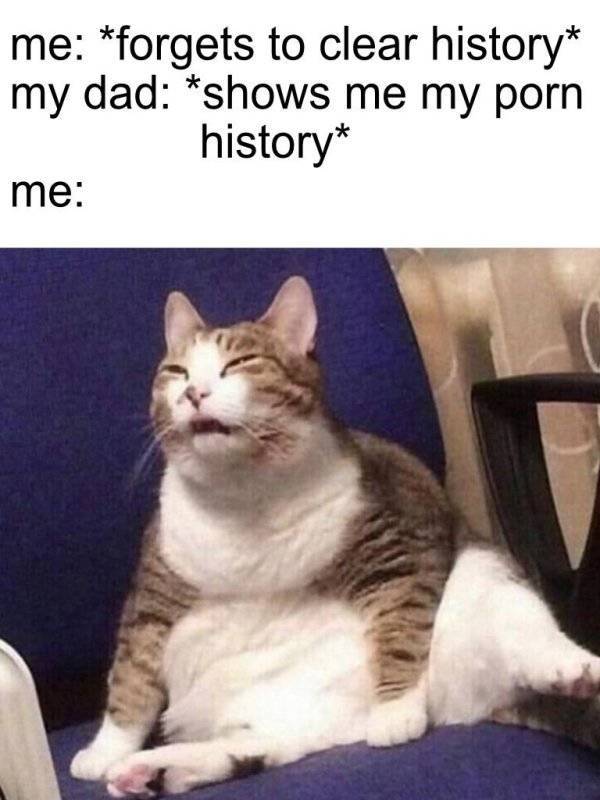 NSFW Memes For Your Naughty Side
