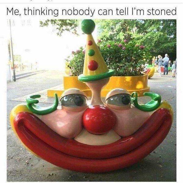 These Memes Are Higher Than The Sky…