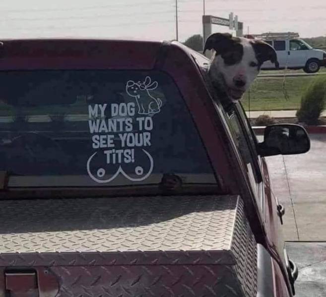 Dirty Mind, Come Here!