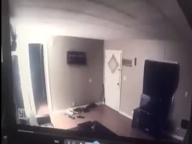 They Just Wanted To Say “Hello”…