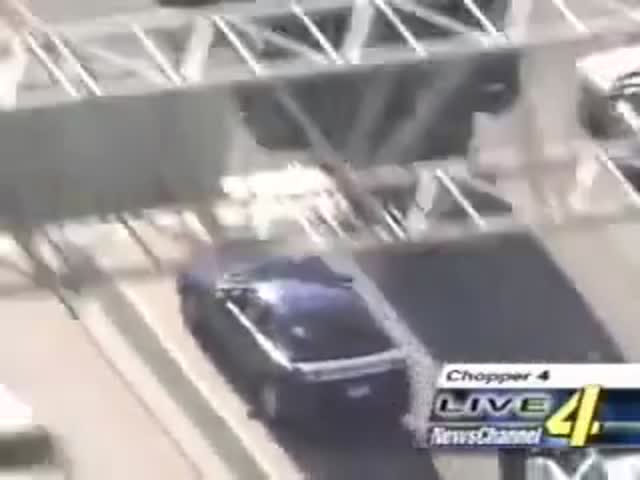 Too Good For Their Tricks!