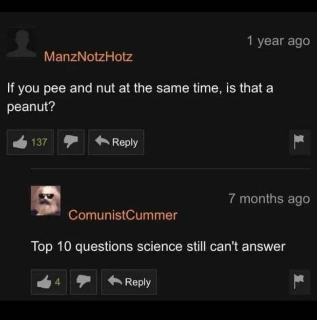 “Pornhub” Comment Section Is A Very Special Place…