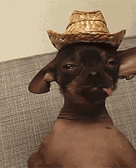 Tequila Memes With Some Extra Hotness!