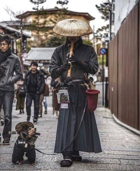 Japan Is A Very Special Place…