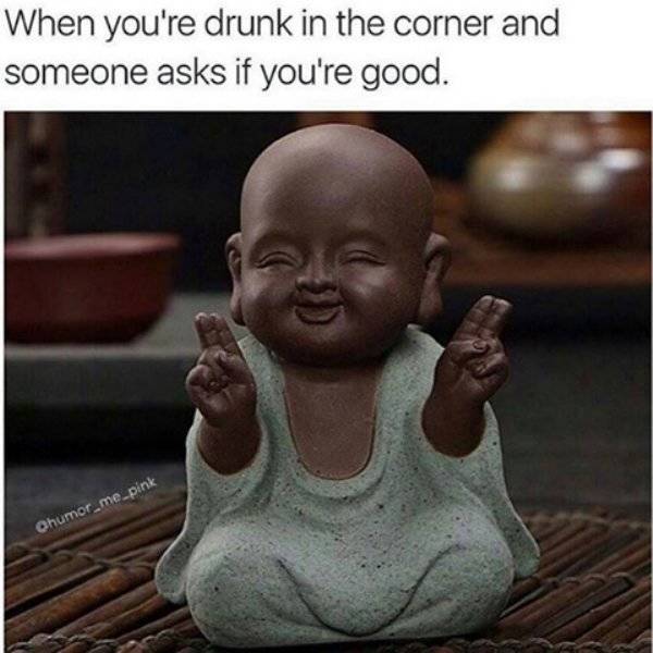 Absolutely Wasted…