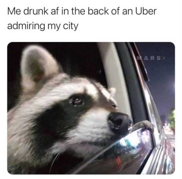 Absolutely Wasted…