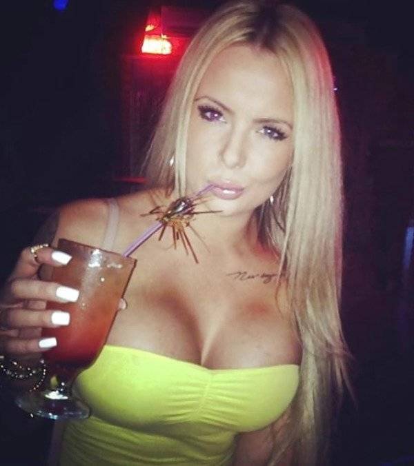 Absolutely Wasted…