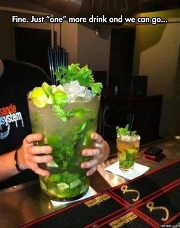 Absolutely Wasted…