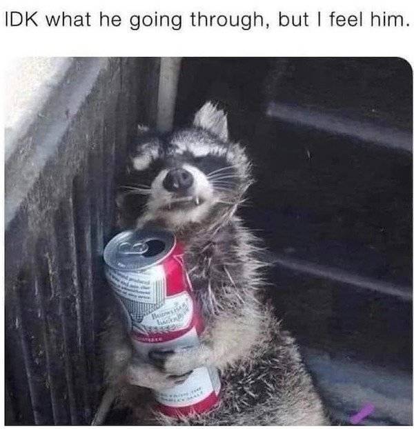 Content Image