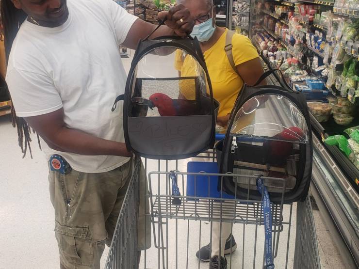 “Walmart” Has Some Very Extravagant Customers…