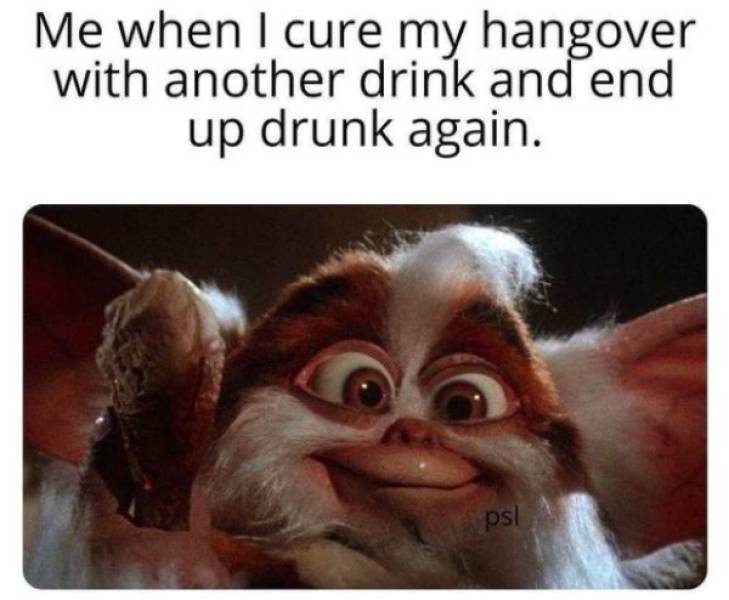 Insanely Wasted…