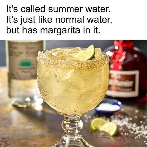 Insanely Wasted…