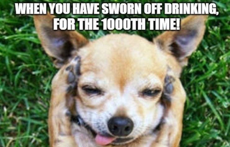 Insanely Wasted…