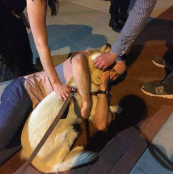 Insanely Wasted…