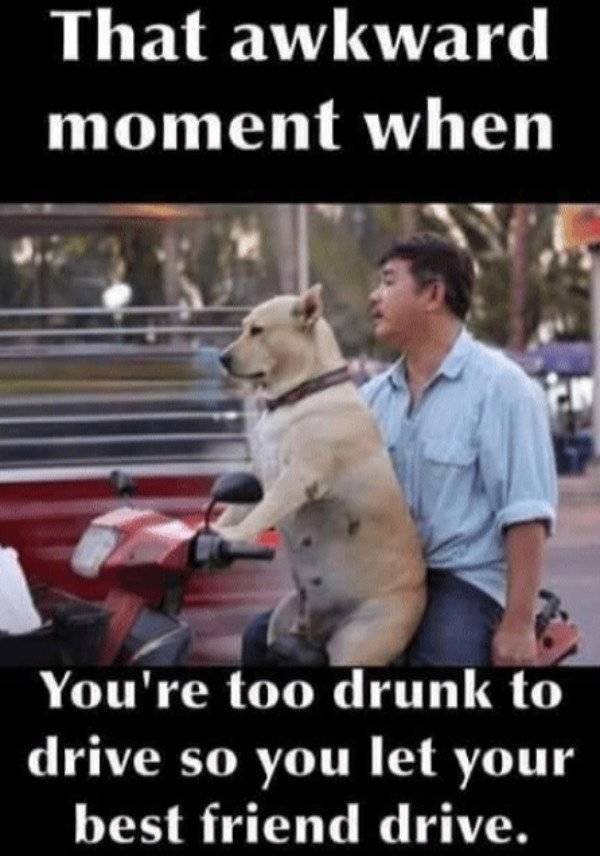 Insanely Wasted…