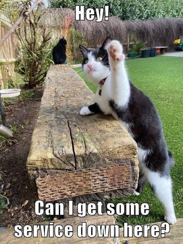 Insanely Wasted…