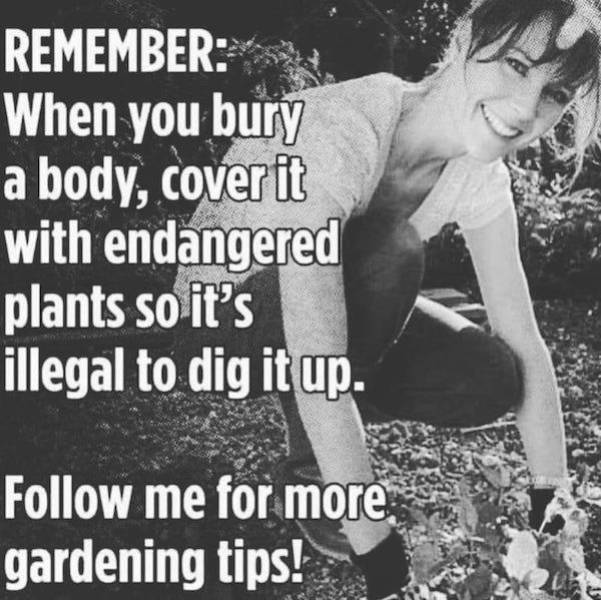 Dirty, Just The Way You Like It!