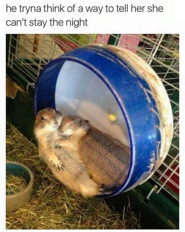 This Humor Is Extra Dirty!