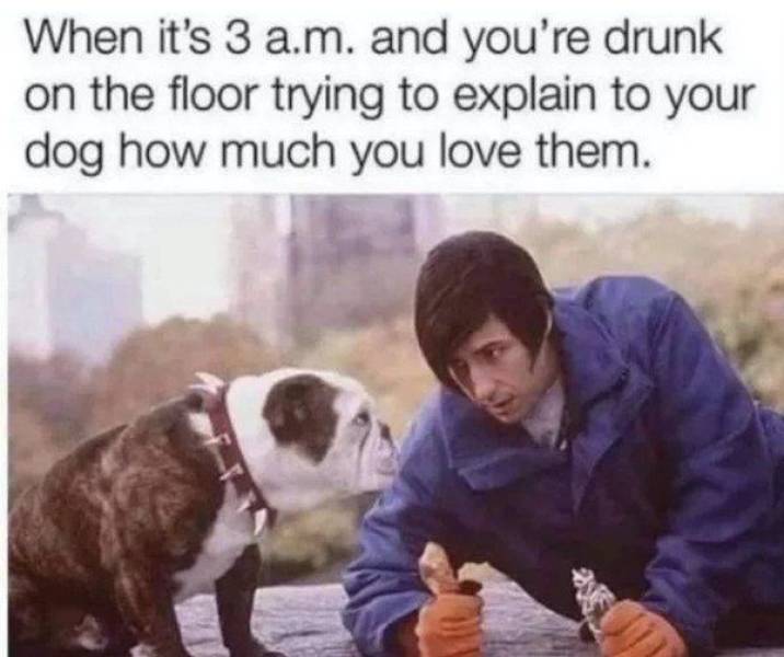 So Much Booze!