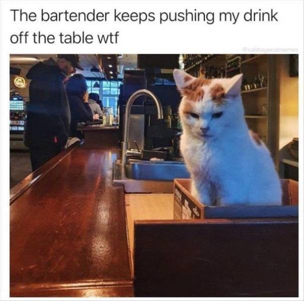 So Much Booze!