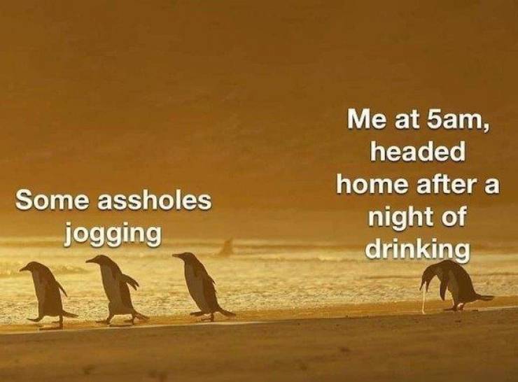 So Much Booze!