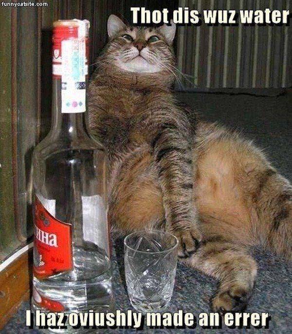 So Much Booze!
