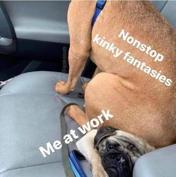 NSFW Memes? Yes, Please!