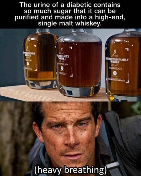 Someone’s Been Drinking…