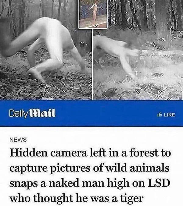 Now Wait A Second!