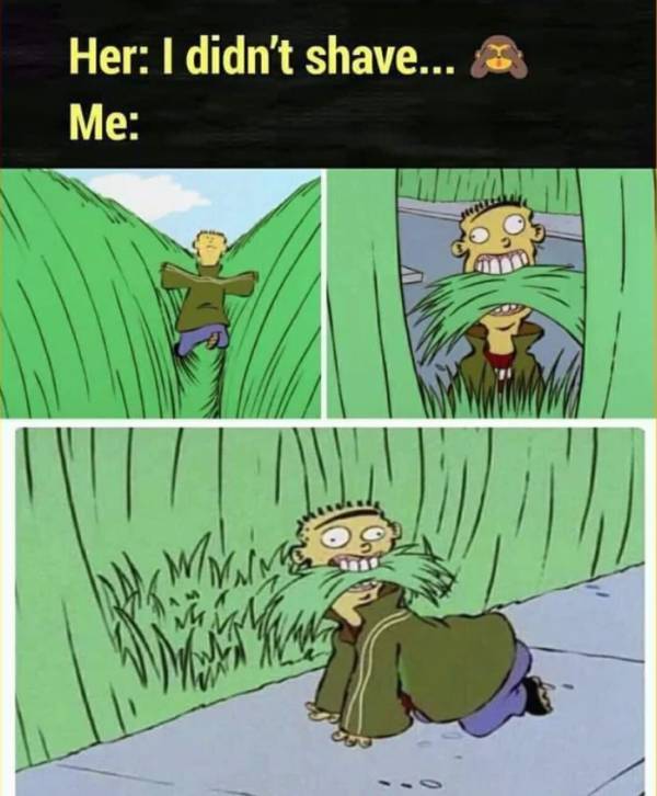 Content Image