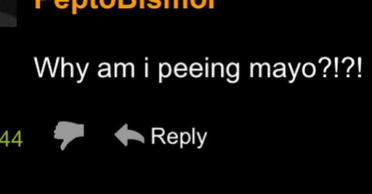 “Pornhub” Comment Section Is Insane…
