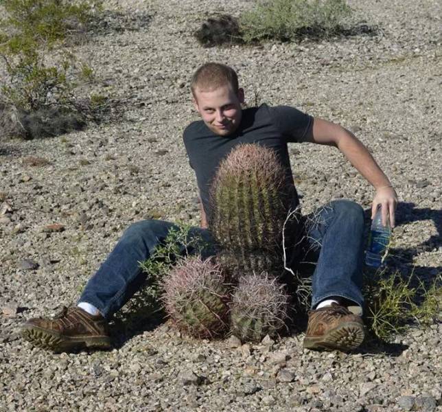 Content Image