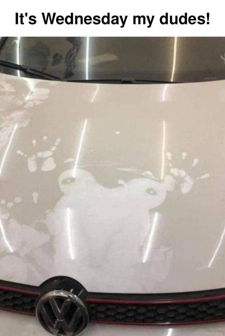 Content Image