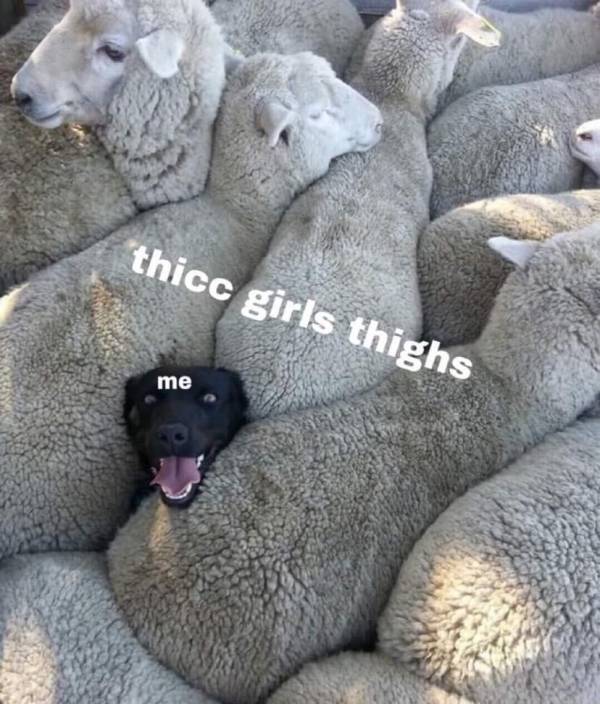 Content Image