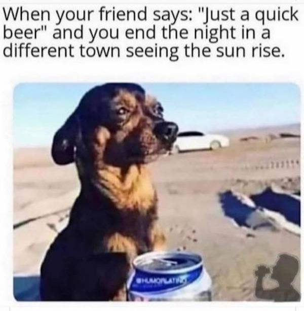 They Are Way Too Drunk…