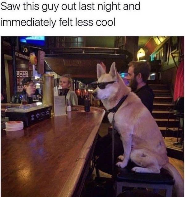 They Are Way Too Drunk…