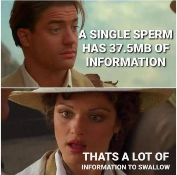 Content Image